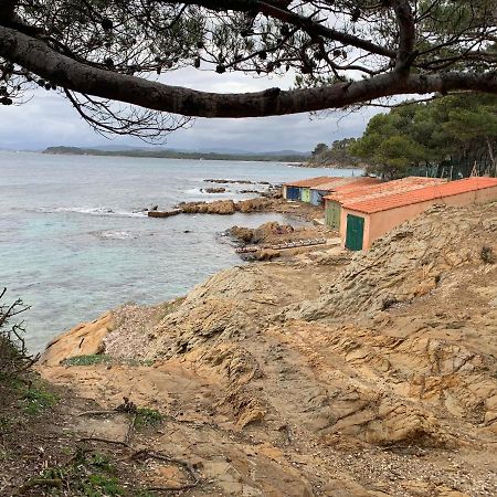 T2 Climatise A L'Ile D'Or Avec Piscine Pres De La Plage La Londe-les-Maures Zewnętrze zdjęcie