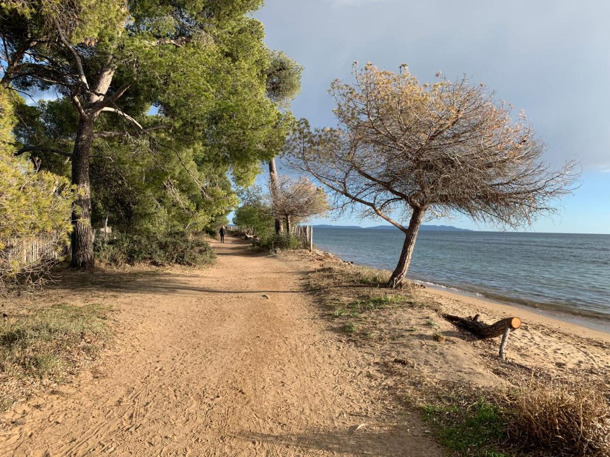 T2 Climatise A L'Ile D'Or Avec Piscine Pres De La Plage La Londe-les-Maures Zewnętrze zdjęcie
